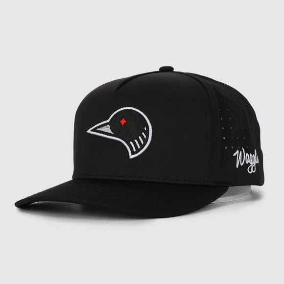 Loon Lake 2.0 Snapback