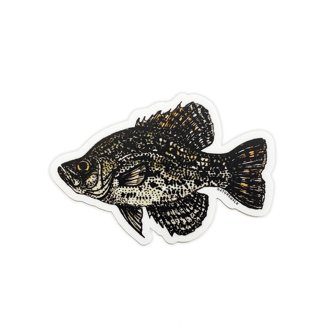 Crappie Freshwater Decal – 218 Clothing + Gift